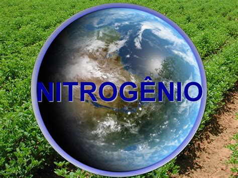 qual deve ser a principal fonte de nitrogênio